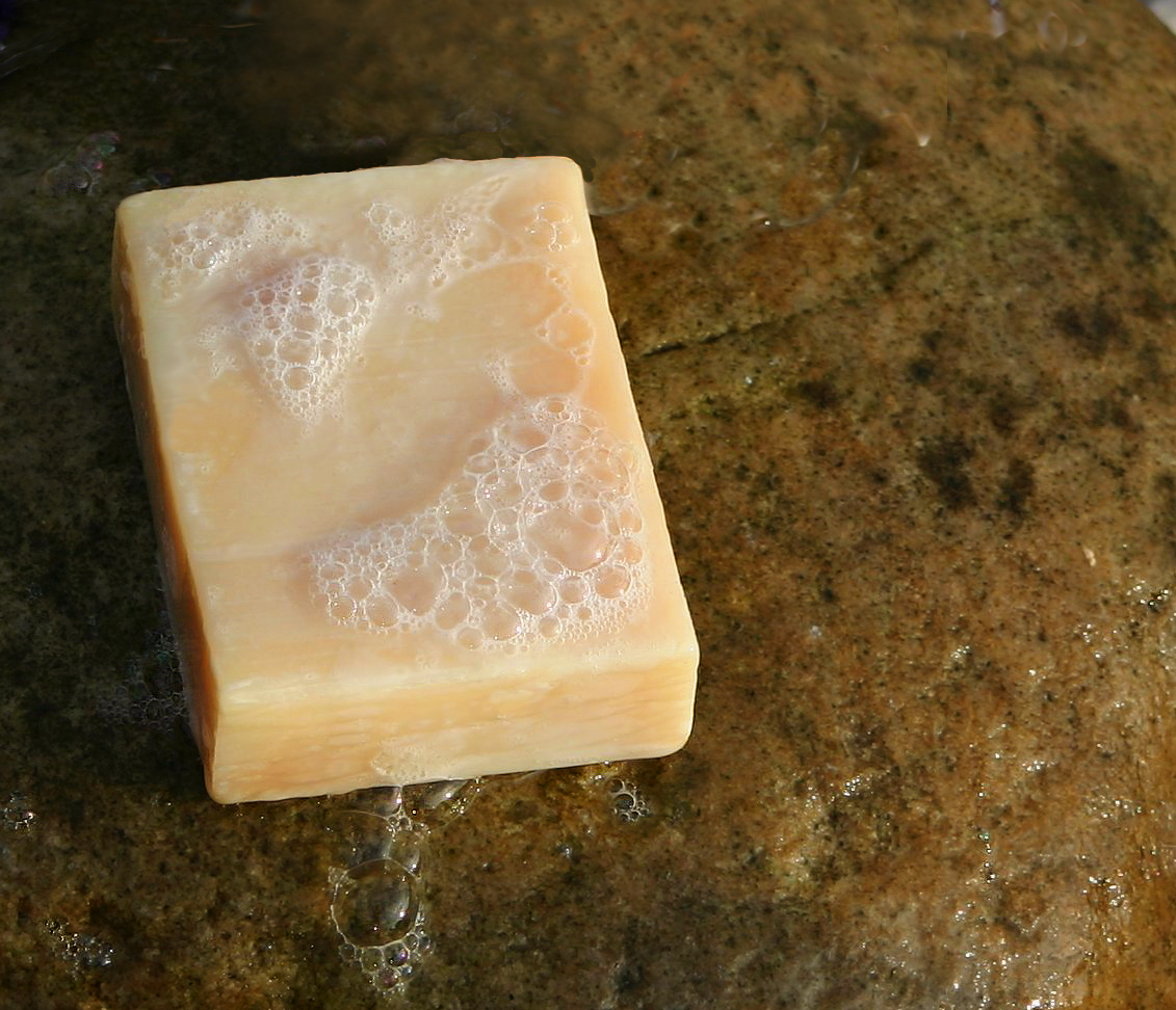 Featured image of post Migrating SOAP to REST Using the Strangler Pattern